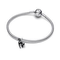 Charm Pandora in Argento 794769C01 - 794769C01
